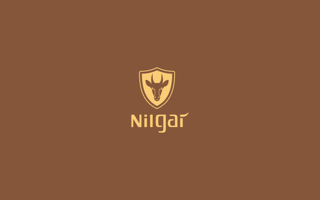 1c07501af1f3a43e05cbad775d7bbebf.png